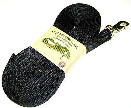 Hamilton 26 ft Nylon Horse Longe Line, Black