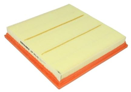 Filtron AR371 AP051/8 Filter
