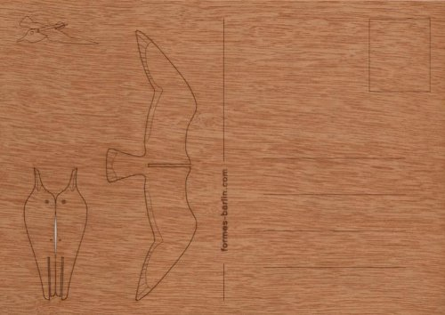 formes Berlin Bastel/Origami - Postkarte aus Holz, Zedernholz, Verschiedene Motive (Möwe/Gull)