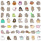 50 Pieces Of Kitten Stickers, Cartoon Kitten Stickers, Cute Graffiti Stickers, Waterproof Stickers, Can Be Used To Decorate Skateboards, Luggage, Water Bottles, Wallets, Etc.