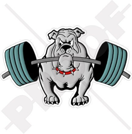 BULLDOG Gewichtheben Hund 150mm Auto & Motorrad Aufkleber, Vinyl Sticker
