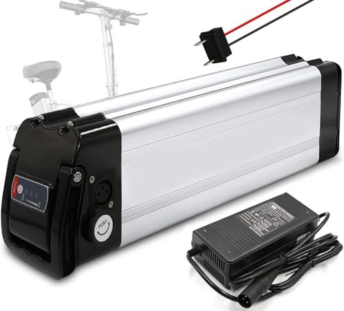 Batteria Elettrica 48V 10Ah 15Ah 20Ah, Bicicletta 48V 10Ah 15Ah 20Ah batterie ebike Pieghevoli per 1000W 750W 500W 250W, Batteria al Litio Integrata con caricabatterie e BMS 48V 15Ah