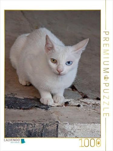 CALVENDO Puzzle Katze der Rasse Türkisch Angora | 1000 Teile Lege-Größe 48 x 64 cm Foto-Puzzle für glückliche Stunden
