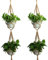 Vpang 2 Pcs Macrame Plant Hanger Double Tier Wall Hanging Planter Holder Jute Rope Indoor Outdoor Decor 55 Inch