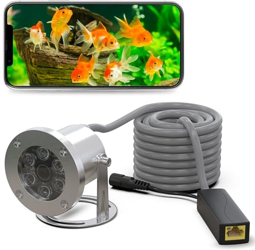 AP Teichkamera IP W5036-5MP Bildauflösung aus Edelstahl bis 5 m Wassertiefe, Unterwasserkamera Koi - Teich Kamera aussen für Teich Kamera POE Netzwerk wasserdicht