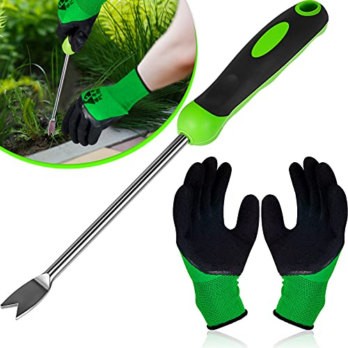 12.8'' Dandelion Weed Puller Tool with Soft Handle Polished Stainless Steel Garden Hand Weeder Remover Tool Two-pronged Fork with Gloves for Garden Lawn Farmland Planting Care in Patio Lawn Yard