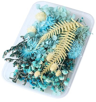 1 Set Trockenblumen, Trockenblumen zum Basteln, Getrocknete Blumen, Trockenblumen Klein, Trockenblumen Set, Trockenblumen Blau, Mini Trockenblumen, Für Startseite Kunst Basteln Dekoration