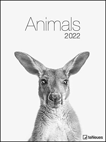 Animals 2022 - Foto-Kalender - Poster-Kalender - 48x64 - Tiere