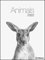 Animals 2022 - Foto-Kalender - Poster-Kalender - 48x64 - Tiere