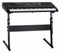 McGrey LK-6150 61 Tasten Set - Elektronisches Keyboard mit 61 Tasten - Leuchttasten und Lautsprecher - inkl. Z-Ständer - Schwarz