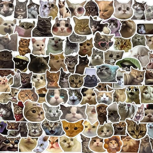 TPTGIAR 100 Stück Katzen Sticker, Lustiges Meme Sticker Set für Erwachsene Kinder, Wasserfester Sticker Meme, Cute Stickers für Skateboard Laptop Koffer Helm Motorrad Auto Fahrrad Handy