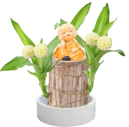 doyandader Brasilianisches Glücksholz, Glücksholz Pflanze Holzpflanze, Im Tischdekoration | Glücksbringende Holzdekoration Mit Mönchstatue, Hydrokulturpflanze Aus Brasilianischem Holzdekor