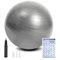 flintronic Gymnastikball, 65 cm Ultra-Dicker Anti-Explosions-Yoga-Ball mit aufblasbarer Fußpumpe, Robuster Maximalbelastbarkeit Fitness-Ball für Sport-Fitness, Yoga, Pilates（Grau）