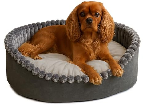 Extrasen Hundebett Katzenbett Waschbar Pflegeleicht Haustierbett auf Velours für Mittelgroße Hunde Katzen Oval 60 x 50 x 18 cm Grau Leo