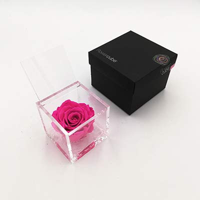 Flowercube 8x8 Fucsia, Rosa Stabilizzata in Cubo di Acrilico, Rosa Fucsia Preservata, Regalo Decorativo