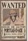 ABYSTYLE - ONE PIECE - Poster - Wanted Ace (91.5x61)