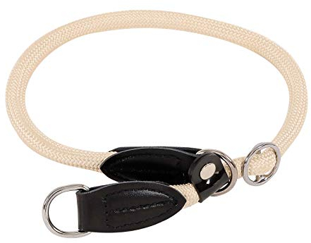 lionto Hundehalsband aus strapazierfähigem Nylon für Hundetraining, Länge 30 cm, 0,8 cm Dicke, Zugstopp Halsband für Hunde, Lederimitat mit Metallring & Anpassung durch stufenlosen Schieber, beige