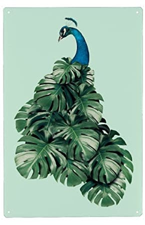 artboxONE Metall-Poster 40x60 cm Floral Monstera Bird von Künstler Jonas Loose