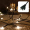 Hellum luces de cuento 10 LED, 1,35 m luz interior, clásico blanco cálido, luz verde con enchufe, árbol navideño luces <59 lumen 579123