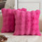 Mandioo 2er Set Luxus Dekorativ dicken Woll Kissenbezug Super Soft Wave Blase Plüschwolle werfen Kissenbezüge Zierkissenbezüge Sofakissen Schlafzimmer Kissenhülle für Sofa 40x40cm heiß pink