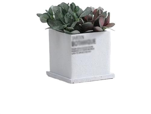 maceta Maceta de cemento, sencilla, creativa, suculenta, cuadrada, verde, pequeña, perforada, transpirable con bandeja, macetas de cemento personalizadas maceta de cerámica(Blanco,Grande)