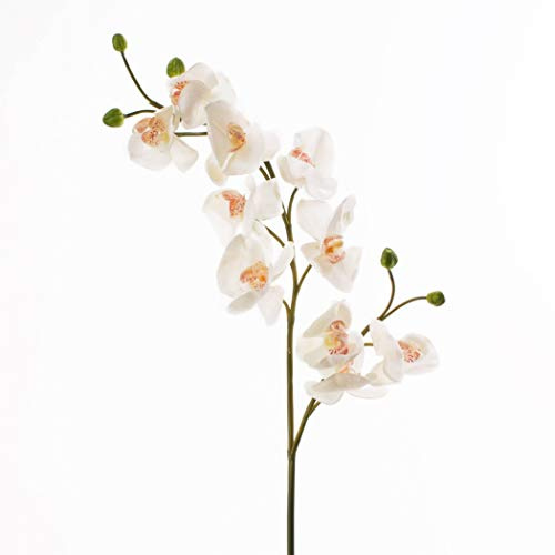 artplants.de Künstlicher Orchideenzweig, real Touch, 10 Blüten, Creme - weiß, 85cm - Phalaenopsis - Kunstorchidee