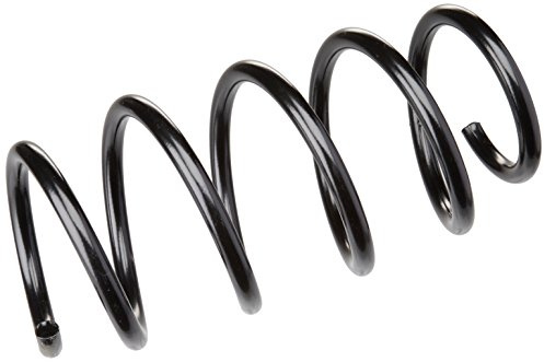 lesjofers 4072983 Coil Spring Front
