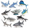ISAKEN 10 Stück Meerestiere Figuren Ozean Kreatur Spielzeug Realistische Tierfiguren Set Kunststoff Fisch Figur Hai Delfin Simulation Meerestiermodelle, QBLM-12-ZXMHYQ-HT8161X
