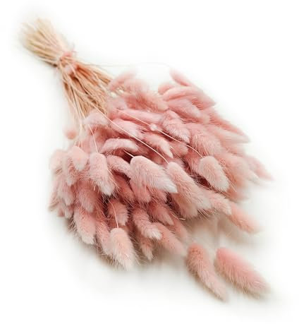 Enchanted Dekogras Getrocknetes Gras Ziergras Hasenschwänze Lagurus Ovatus Samtgras Häschen-Schwanzgras Trockenblumen Natürlich Boho 120 - 150 Stück 100 g Perlrosa