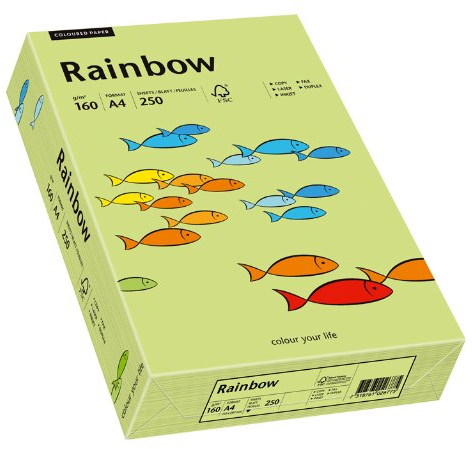 Papyrus 88042615 Drucker-/Kopierpapier bunt, Bastelpapier Rainbow: 160 g/m², A4 250 Blatt, leuchtend grün