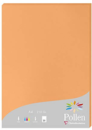 Clairefontaine 24208C - Packung mit 25 Karten Pollen 210g, DIN A4, 21 x 29,7cm, Clementine