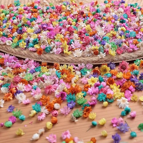 SSyang 280 Pcs Small Dried Flowers for Resin Klein Trockenblumen für Harz, Natürliche echte kleine Trockenblumen für Kunstharz Bastelarbeiten,Bunte Trockenblumen für Harz,für DIY Epoxid Schmuck(Farbe)