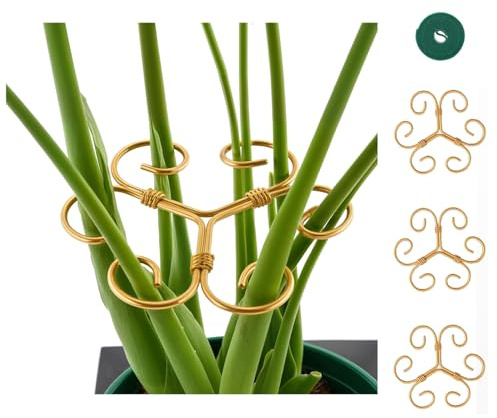 DHGKVK 4X Pflanzenstütze,1,0m Klettband zur flexiblen Befestigung.pflanzenhalter für Blumen, Rosen, Tomaten - Monstera Rankhilfe und Pflanzenhalter aus Metall,Stauden und Hortensien. (Golden)