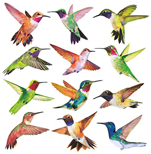 Anti-Collision Window Clings Bird Alert Collision Decals to Prevent Bird Strikes on Window Glass - Set of 12 Hummingbirds