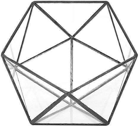 Sukkulent Terrarium Einzigartige geometrische Glas Pflanzer Container Landschaft Dekoration für Sukkulenten Moos Farn Pflanzen Mini Indoor Gewächshaus