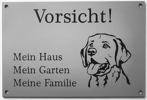 Warnschild Vorsicht Labrador Schild Hundeschild Haus Garten Familie Silber (15x10cm Selbstklebend)