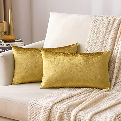 MIULEE Golden Luxuriös Samt Kissenbezug Dekokissen Kissenhülle Zierkissenbezug Dekorative Zierkissenhülle mit Verstecktem Reißverschluss 30x50 cm 2er Set