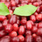 200 pcs hartriegel samen, herbal wildblumensamen mehrjährig winterhart kornelkirsche kaufen - Cornus officinalis bonsai baum wildblumensamen küchenkräuter balkonpflanzen winterhart