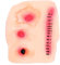 Beaupretty Halloween-simulationsnarbenaufkleber Kunstblut Halloween-kostümzubehör Zombie-make-up Scarface- Gefälschte Beängstigende Kontakte Weiches Gummi Abschlussball Blutig 3d