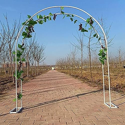 Arche de jardin large en aluminium, arche à rosiers en métal, filet pour plantes grimpantes, treillis, pour la récolte des concombres, légumes, vignes, plantes grimpantes (couleur : blanc, taille :