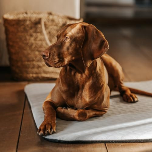 Manuly Hundedecke für unterwegs, Set aus Hundematte selbstaufblasend, kühlendem wasserabweisenden Bezug und Tragetasche, waschmaschinentauglich, Bezug kann gewechselt Werden, 100x70x3,5cm, 1080g
