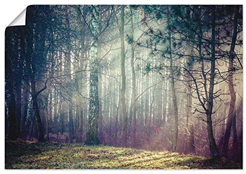 ARTLAND Wanddeko Poster & Kunstdrucke Wandposter Bild ohne Rahmen Querformat Landschaft Wald Natur Bäume Herbst Sonne U1TE