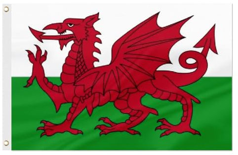 ASUNO Wales Flagge 90×150 CM, Polyester, Walisisch National Banner mit 2 Messingösen, Doppelseitig, Leuchtende Farben, Farbbeständig, für Garten, Rasen, Patio