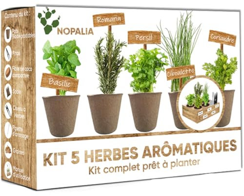 NOPALIA® Kit Herbes Aromatiques - Mini Kit Complet Prêt à Pousser | Mini Potager Intérieur | Graines Herbes Aromatiques à Planter - Idée Cadeau Cuisine - Romarin Coriandre Ciboulette Basilic Persil