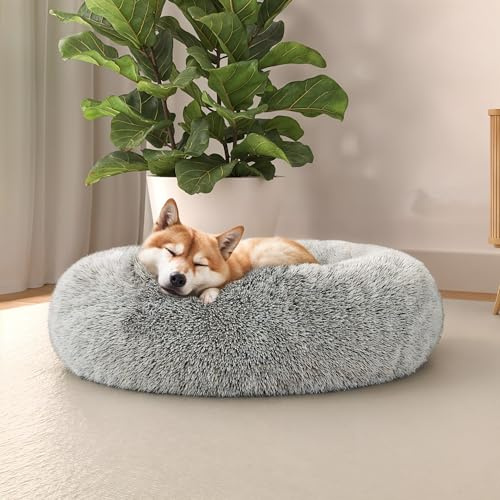 Italian Bed Linen Dreams Kuscheliges Hundebett für Hunde und Katzen, Perle, 60 x 60 cm