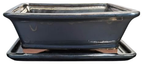 Ceramic Bonsai Pot - 265 x 215 x 90 - Black Rectangular Bonsai Tree Planter | With a Matching Drip Tray | Glazed