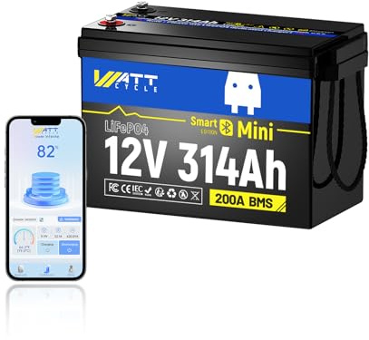 Batteria solare per camper 12 V 314 Ah LiFePO4 con Bluetooth, 200 A BMS protezione da bassa temperatura, 4019 Wh grande capacità supporta il collegamento in serie | Prima scelta per campeggio, yacht