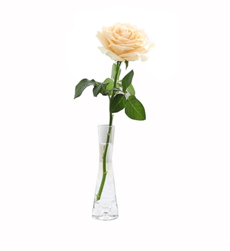 ericotry Petit vase à fleurs en verre transparent vintage avec ouverture simple pour décoration d'intérieur, salon, bureau et centres de table