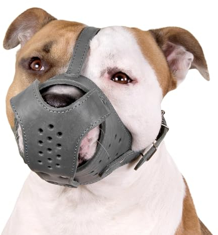 CollarDirect Hunde-Maulkorb Pitbull Amstaff aus echtem Leder, Staffordshire Terrier (Grau)