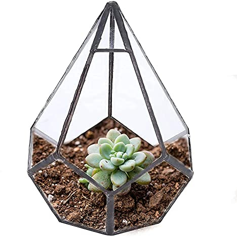 HERCHR Terrarium en Forme géométrique, Terrarium de Table en Verre Pot de Fleurs pour Plantes, Fleurs, Mousse, fougère, Claire